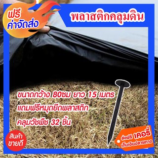 **ส่งฟรี พลาสติกคลุมดิน ขนาดกว้าง 80 ซม ยาว 15 เมตร แถมฟรีหมุดยึดพลาสติกคลุมวัชพืช 32 ชิ้น