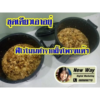 (ชุดเดียวเอาอยู่ใหม่)มัดรวม ฟีโรโมนล่อผึ้งโพรง 20 ซีซี+ไขล่อผึ้งโพรงแท้ 1 ก้อน สำหรับมือใหม่หัดเลี้ยงผึ้งพร้อม(ฟรีคูมือ)