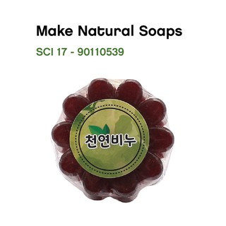 Make Natural Soaps (90110539)