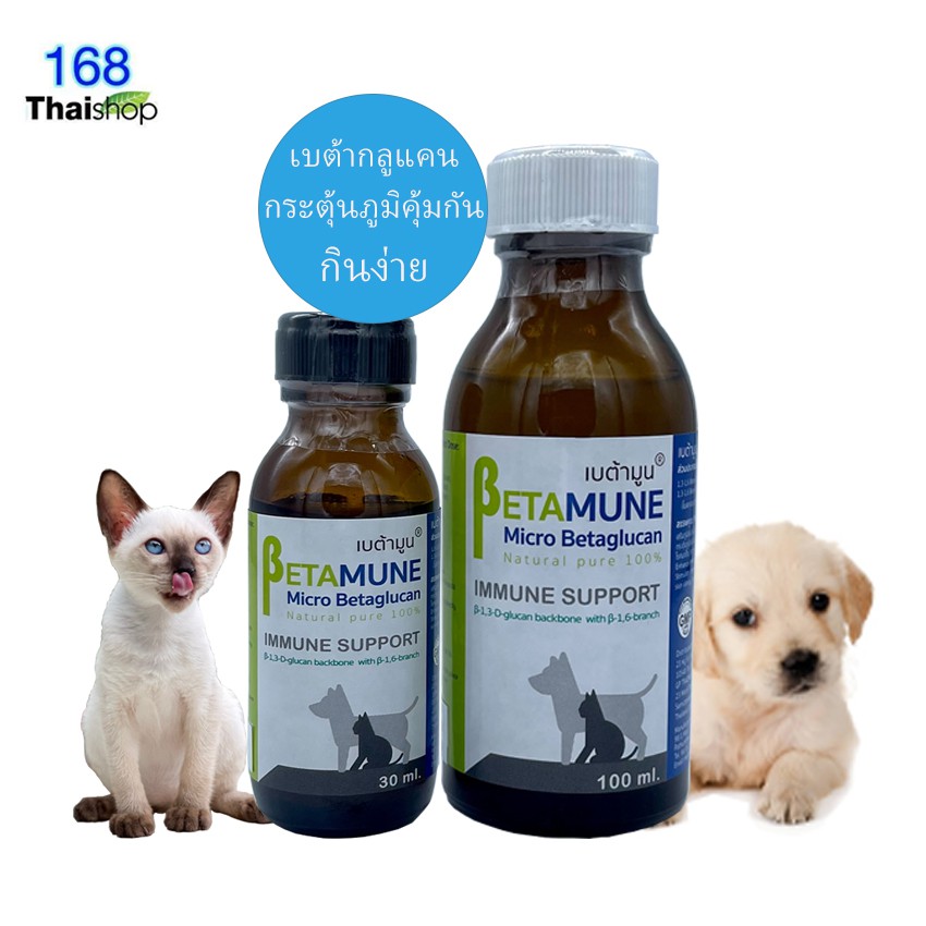 🚚ส่งไว ✅สินค้าใหม่ betamune micro betaglucan เบต้ามูนวิตามินกระตุ้นภูมิสุนัขและแมว จากเบต้ากลูแคนโมเลกุลเล็ก มี 2 ขนาด