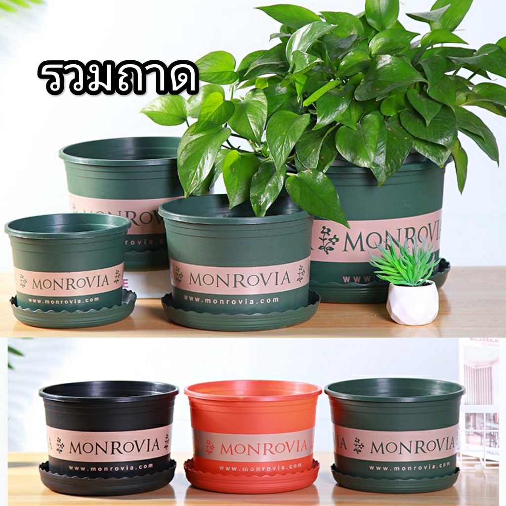 (สินค้าพร้อมส่ง)กระถางดอกไม้ทรงอ้วนกลมพร้อมจานรอง กระถางต้นไม้พลาสติก กระถางแคคตัส (JLสั้น)