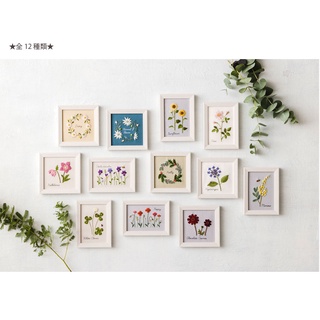 ชุดปัก Kazuko Aoki Embroidery kit 12 months Botanical Collection