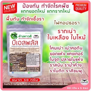 บีเอสพลัส50G กำจัดโรคเน่าทุเรียน พืชทุกชนิด เชื้อราโรคพืช รากเน่าโคนเน่า ไฟทอปธอรา ใบเหลือง ใบไหม้