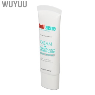 Wuyuu Acne Cream Acnes Removal Oil Control for Skin Repairing