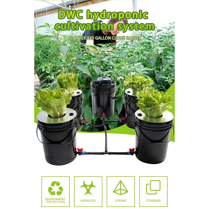 ชุดปลูกครบเซ็ท Hydroponic Grow System Deep Water Culture (DWC) Complete Kit (4 Bucket + Reservoir Kit) full set ราคา ถูกที่สุด ดีลบีเคเค แกลเลอรีภาพที่ 5