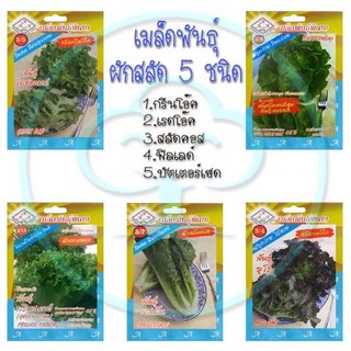 🔥ลด25.- โค้ดPEPG233C🔥 เมล็ดพันธุ์ ผักสลัด 5 ชนิด ชุด B