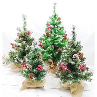 ต้นคริสมาสจิ๋ว ลูกสน + ฮอลลี่ ต้นคริสมาสตั้งโต๊ะ ต้นคริสมาส สูง 30/50cm Mini Christmas Pine Cones + Holly Tree for table