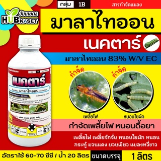 เนคตาร์ 1ลิตร (มาลาไทออน) กำจัดด้วงหมัดผัก เพลี้ยแป้ง เพลี้ยหอย บั่ว