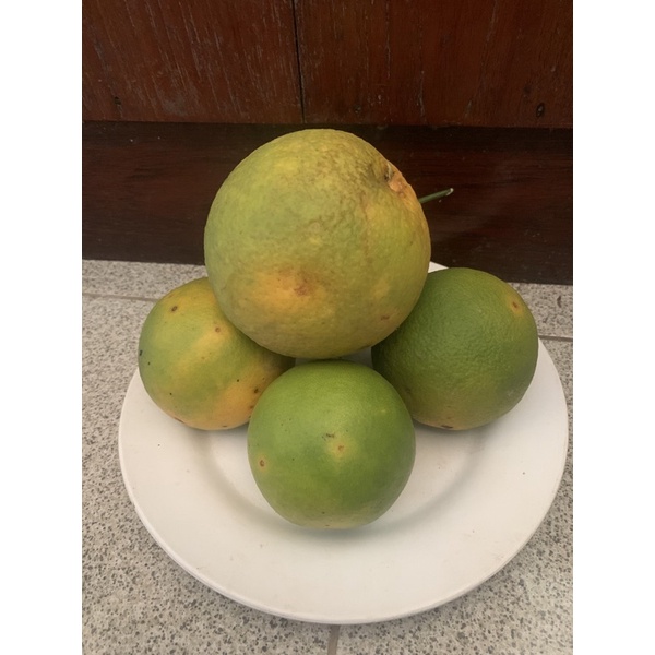 ส้มเกลี้ยงจากสวน ของอำเภอเถิน จังหวัดลำปาง รสชาติเปรี้ยวอมหวาน ฉ่ำ ปลอดภัยไร้สารเคมี (1กิโล)
