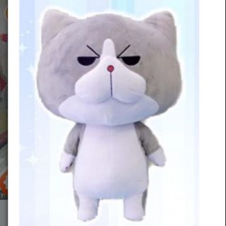 ตุ๊กตาแมว หน้าโหด 40cm จากญี่ปุ่น แท้ neko senpai