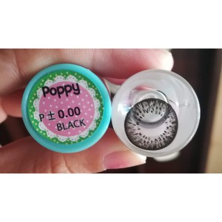 [อ่านก่อนสั่ง] บิ๊กอาย รุ่น Poppy ยี่ห้อ Sweety Plus