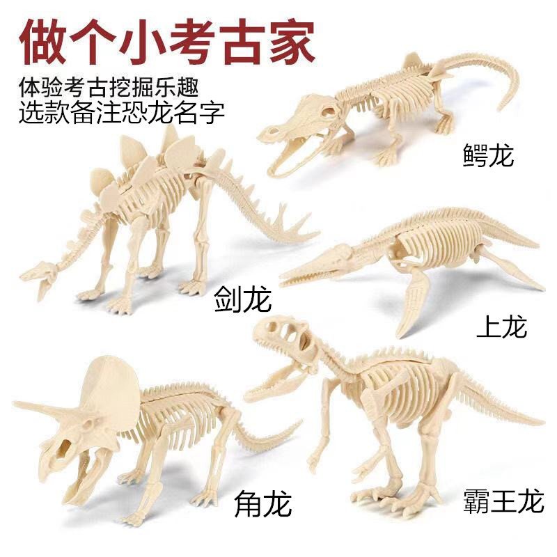 My Image 26