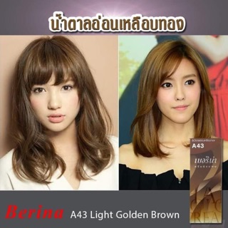 A43 เบอริน่า สีน้ำตาลอ่อนเหลือบทอง