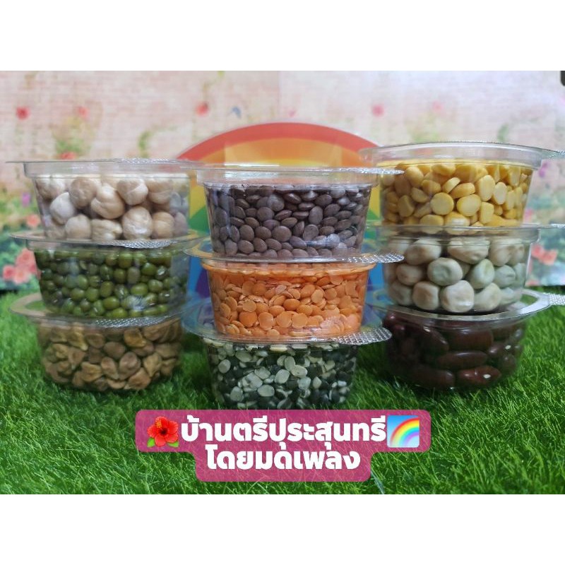 MP94⛵☆🌈 ธัญพืชมหามงคล 9 ชนิด 🌈