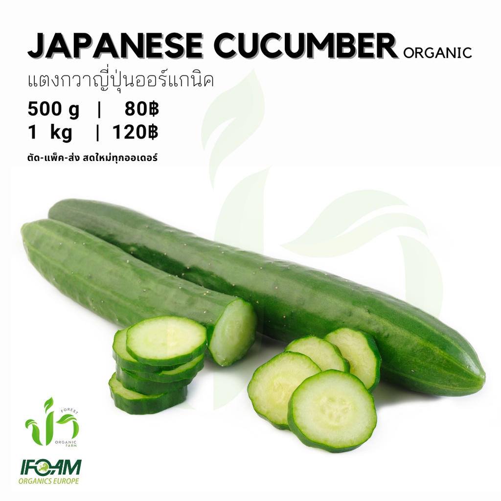 แตงกวาญี่ปุ่นออร์แกนิค Organic Japanese Cucumber มาตรฐานออร์แกนิค IFOAM เก็บใหม่ทุกออเดอร์
