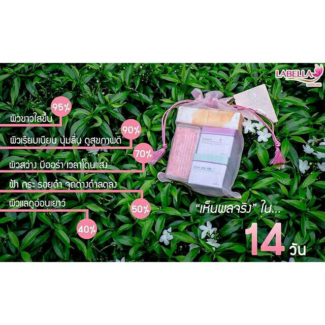 Labella Cream set