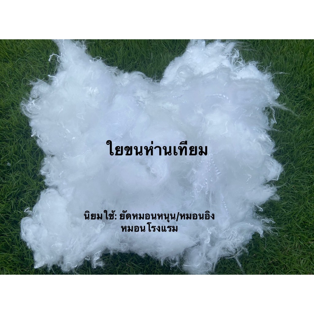รูปภาพ 3