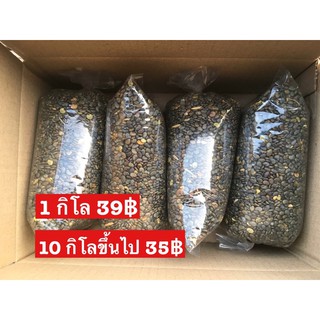 (พร้อมส่ง) เมล็ดปอเทืองแห้ง 1 กก (ฤดูกาลเก็บเกี่ยวเมย 66)