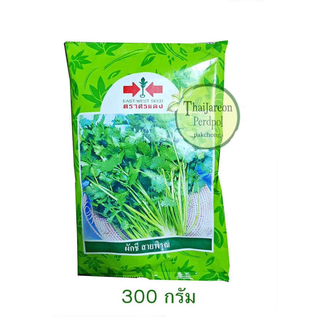 ผักชี สายพิรุณ ตราศรแดง บรรจุ 300 กรัม แตกกอดี