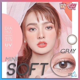 mini Soff Gray / Soft (1)(2) Kitty Kawaii คอนแทคเลนส์ Contact lens ค่าสายตา สายตาสั้น ค่าอมน้ำสูง มินิ โทนธรรมชาติ