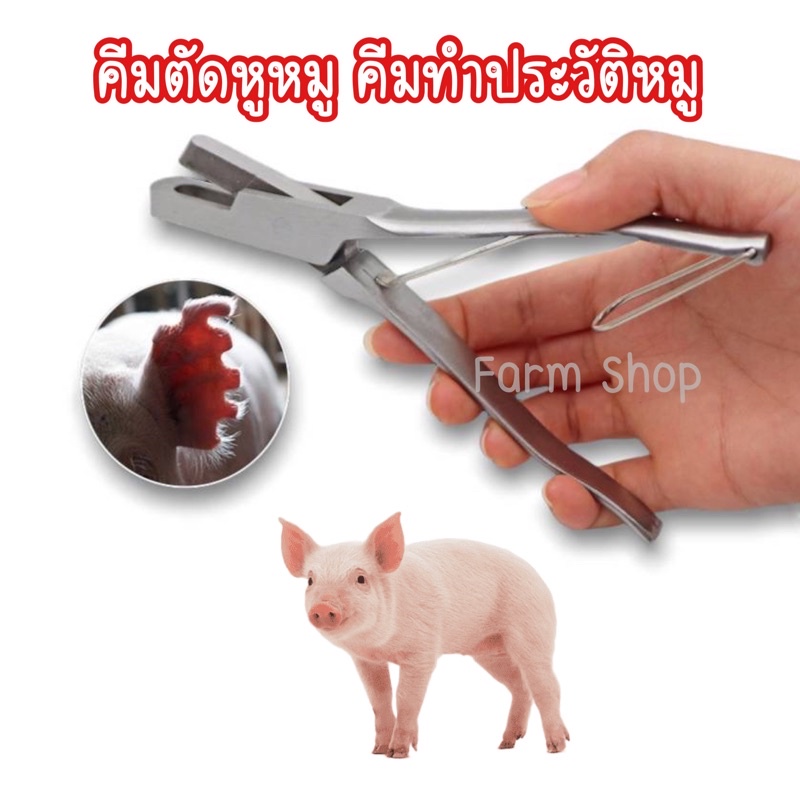 ส่งด่วนจากไทย‼️ คีมตัดหูหมู ตัวU ตัวV สแตนเลสแท้ ใช้ทำสัญลักษณ์หมู