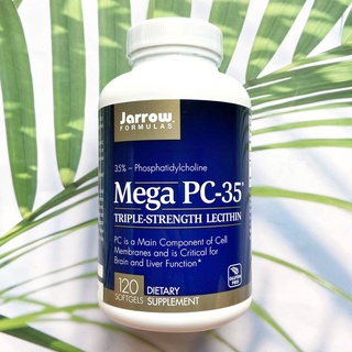 เลซิตินจากถั่วเหลือง Lecithin Mega PC-35 120 Softgels (Jarrow Formulas®) โคลีน Choline