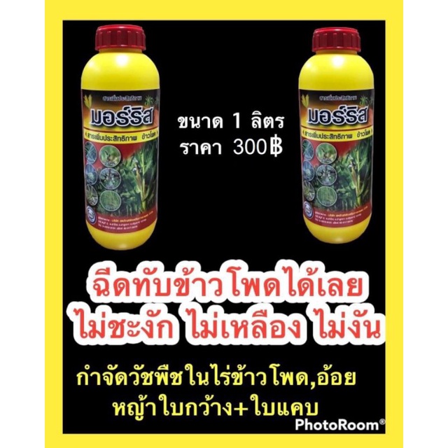 มอริส(สารกำจัดวัชพืชใบแคบใบกว้างในไร่ข้าวโพด)