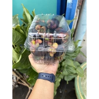 กล่องใส่ผลไม้เจาะรู 1 KG. ((มังคุด))/ 1 แพค 50 ใบ/จำกัด 4 แพคต่อ 1 คำสั่งซื้อ