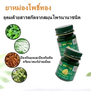 พร้อมส่ง ยาหม่องโพธิ์ทอง ของแท้ บรรเทาอาการแมลงกัดต่อย โนโวไลฟ์ 50กรัม ยาหม่องสมุนไพร Green Herb(กรีนเฮิร์บ)