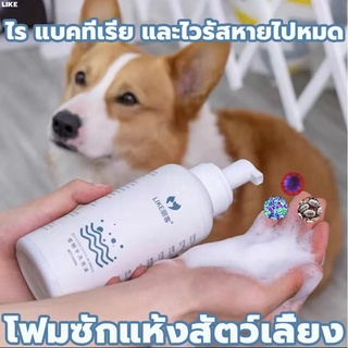 Hana Pet 500ml แชมพูอาบแห้งแมว/หมา แชมพูสุนัข หรือสัตว์เลี้ยงหอม/ขนนุ่มหลังใช้ สะอาดง่ายใน 5 นาที