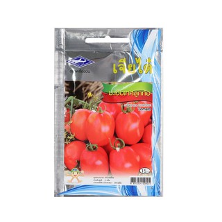เมล็ดพันธุ์มะเขือเทศลูกท้อ ตราเครื่องบิน SEED TOMATO AEROPLANE