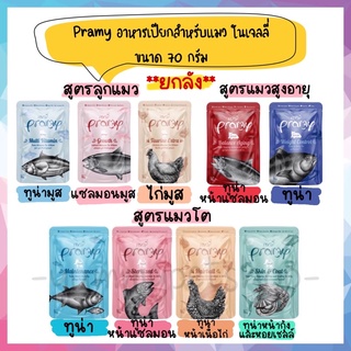 🌟ยกลัง 48 ซอง🌟 Pramy อาหารเปียกแมว ในเจลลี่ แบบซอง ขนาด 70 กรัม