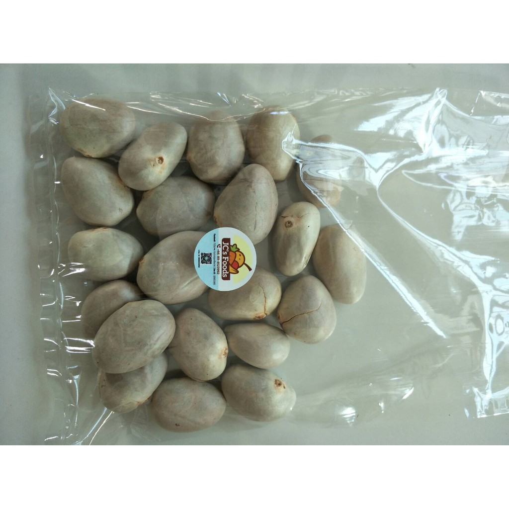 เมล็ดขนุนทองประเสริฐพร้อมปลูก    1 ซอง 10 เม็ด 20 บาท ราคาถูก Shopee Lazada