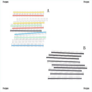 Fstyzx แถบเชื่อมต่อ 40 pin 1x40 2.54 10 ชิ้น