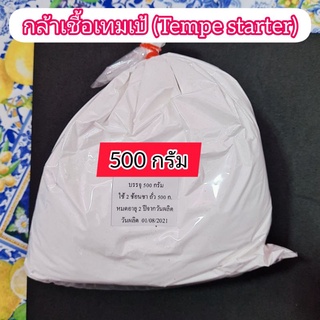 กล้าเชื้อเทมเป้(หัวเชื้อเตมเป) 500 กรัม สุดคุ้ม !