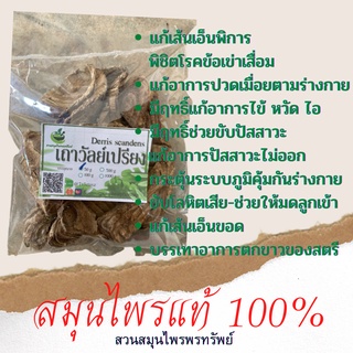 เถาวัลย์เปรียง ขนาด 50/100 กรัม แก้ปวดเมื่อย พร้อมส่ง