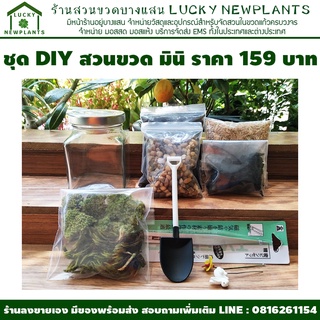 สวนขวด ชุดจัดสวนขวด DIY ไซต์มินิ 159฿ วัสดุอุปกรณ์พร้อมจัด