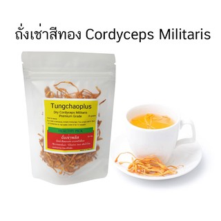 ถั่งเช่า สีทองแห้ง 20กรัม เกรด A Cordyceps militaris Dry 20 grams Grade A