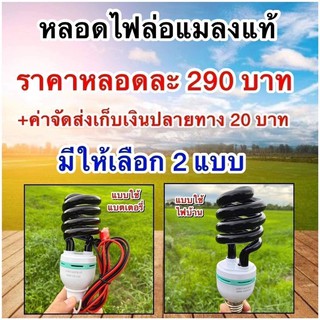 ไฟล่อแมลง มีแบบต่อไฟบ้านและแบบต่อแบตเตอรี่12v ราคาหลอดละ290บาท