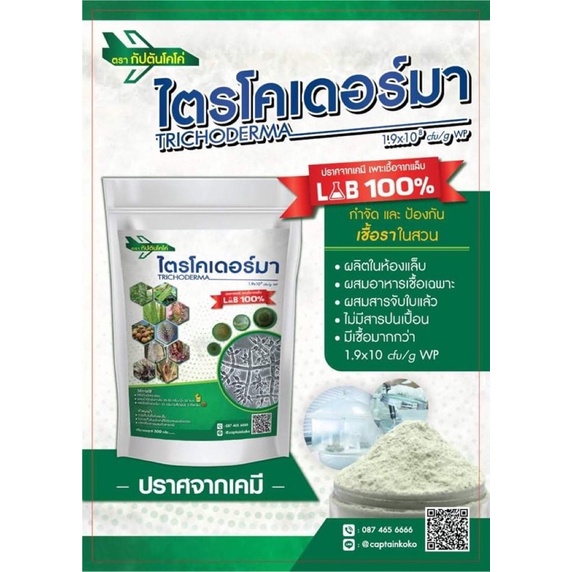 ไตรโคเดอร์มา แบบผง(500กรัม) เพาะเชื้อจากห้อง LAB พร้อมใช้ ปลอดภัย 100 %