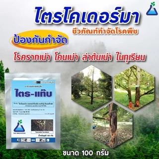 ไตร-แท๊บ (ไตรโครเดอร์มา) จาก ทีเอบี ไตรโคเดอร์มา กำจัดโรครากเน่า โคนเน่า จากเชื้อราไฟทอปธอร่า ในทุเรียน ไตรแท๊บ