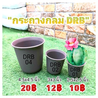 กระถาง DRB // กระถางกลมทรงสูง กระถางพลาสติก กระถางแคคตัส กระบองเพชร