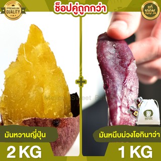 Duo Set ถูกกว่า มันหวานญี่ปุ่น 2kg + มันหนึบม่วง 1kg มันหนึบ โอกินาว่า มันญี่ปุ่น มันหวานญี่ปุ่น มันญี่ปุ่นหวาน