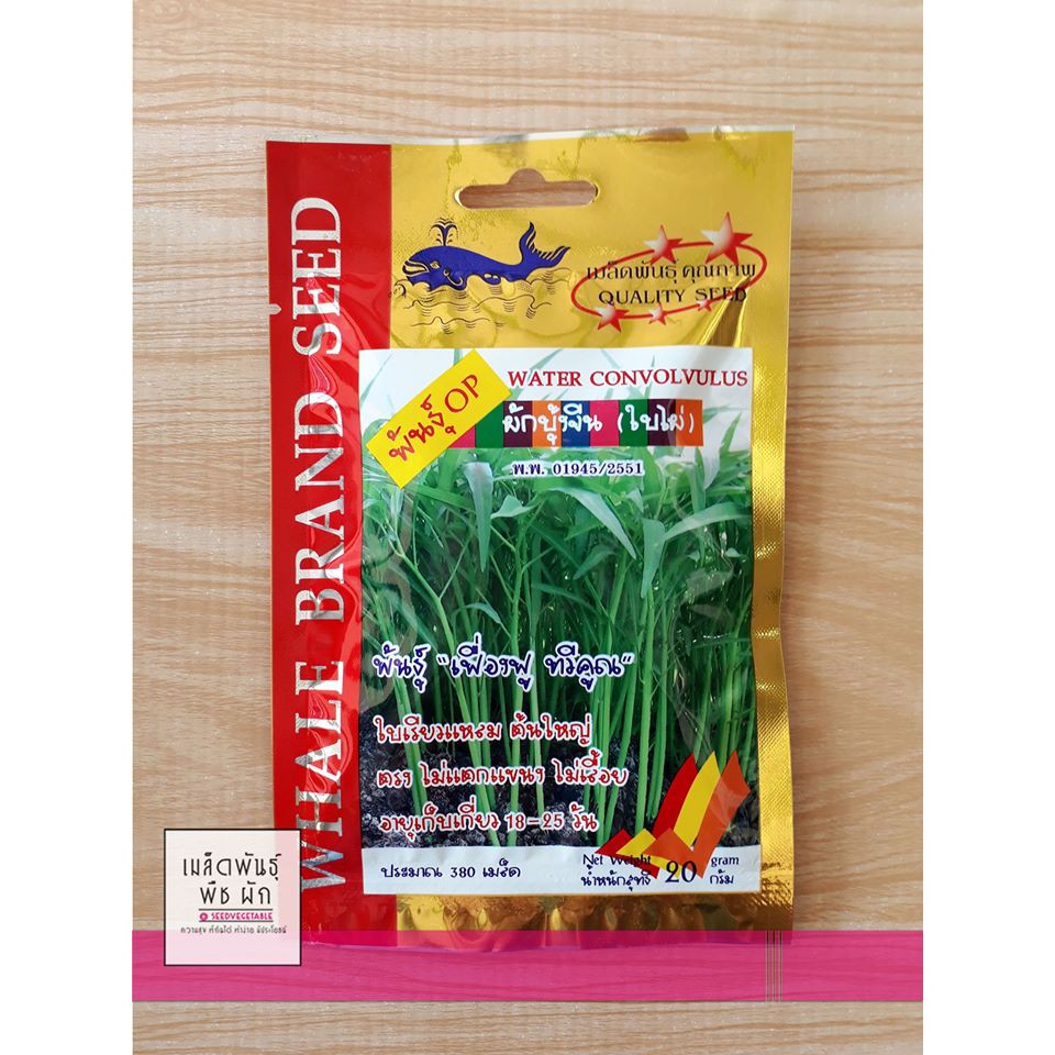 เมล็ดพันธุ์ เมล็ดผักบุ้งจีนใบไผ่ พันธุ์เฟื่องฟู ทวีคูณ บรรจุ 380 เมล็ด