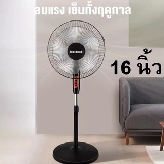 Moidnei พัดลม 16 นิ้ว 5ใบพัด (สีดำ) พัดลมตั้งพื้น พัดลมตังโต๊ะ พัดลมตั้งโต้ะ พัดลมตังพื้น พัดลมระบายอากาศ