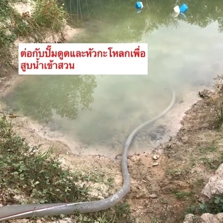 MASAKI PVC Spring hose ขนาด 1/2" ถึง 1-1/2" สายพีวีซีใสไส้ลวด สายดูดพลาสติกใส สายยางใยลวด