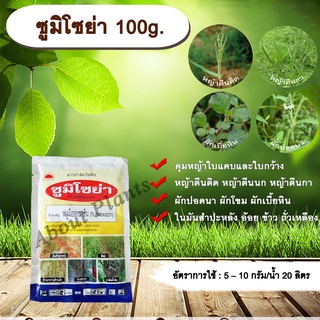 ซูมิโซย่า 100g. ฟลูมิออกซาซิน สารคุมและกำจัดหญ้าใบแคบบกว้างและกก คุมแห้งในมันสำปะหลัง อ้อย ข้าว ถั่วเหลืองallaboutplants