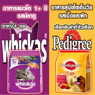 เพดดิกรี Pedigree อาหารสุนัขโต รสเนื้อวัวและผัก ขนาด500กรัม อาหารแมว วิสกัส ชนิดแห้ง แบบเม็ด 480กรัม รสปลาทู WHISKAS DY