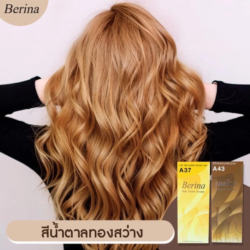 Berina Hair Color สีย้อมผม 47 เฉดสี ปิดผมขาว ติดทนนาน thumbnail 5