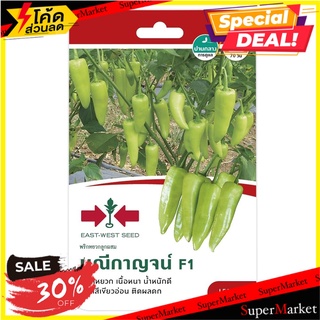 พริกหยวก F1 มณีกาญจน์ เมล็ดพันธุ์ REEN PEPPER SEED EAST-WEST SEED MANEEKAN F1 ต้นไม้และเมล็ดพันธุ์
